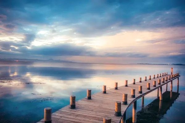 美食银耳粥的做法