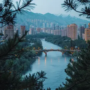 发奶食谱美食做法