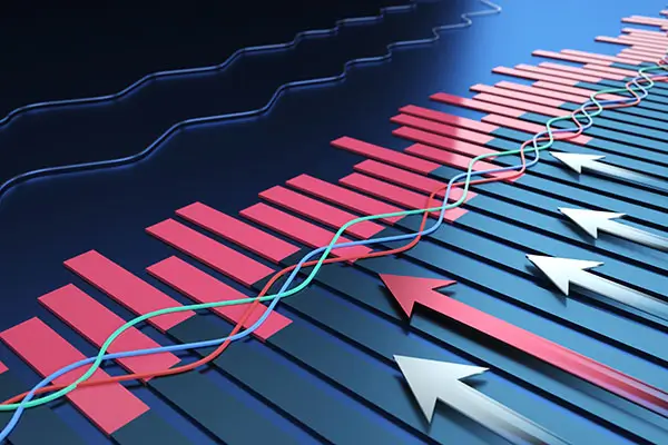 猪大排是哪个部位示意图