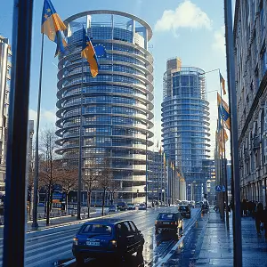 美食黄丝的做法