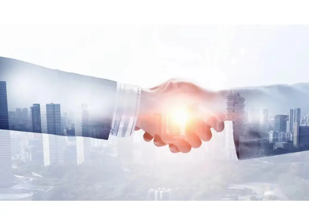 羊肉美食推荐家常做法